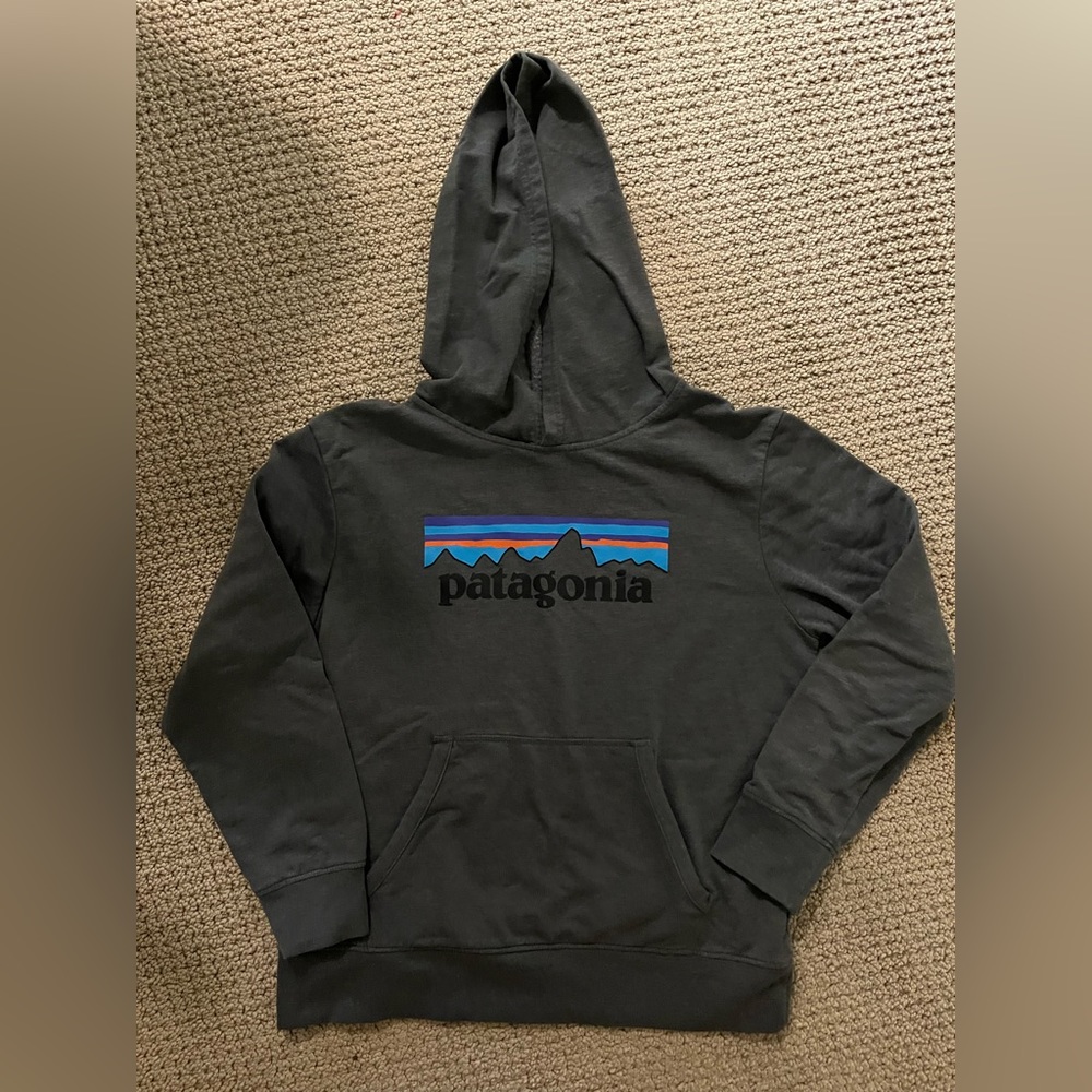 Patagonia Boys Hoodie